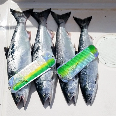 bites-on-salmon-fishing-charter-four-cohos.jpg